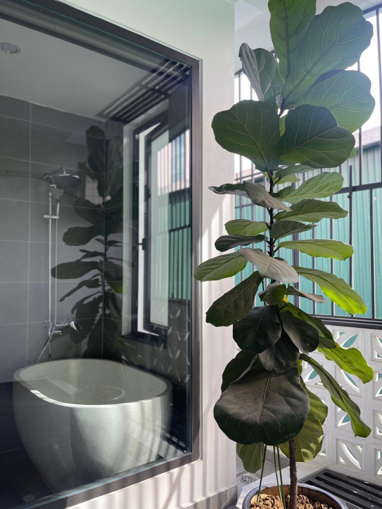 Alala Homestay- Tuyen Quang City Center- Trung Tam Thanh Pho Tuyen Quang Buitenkant foto